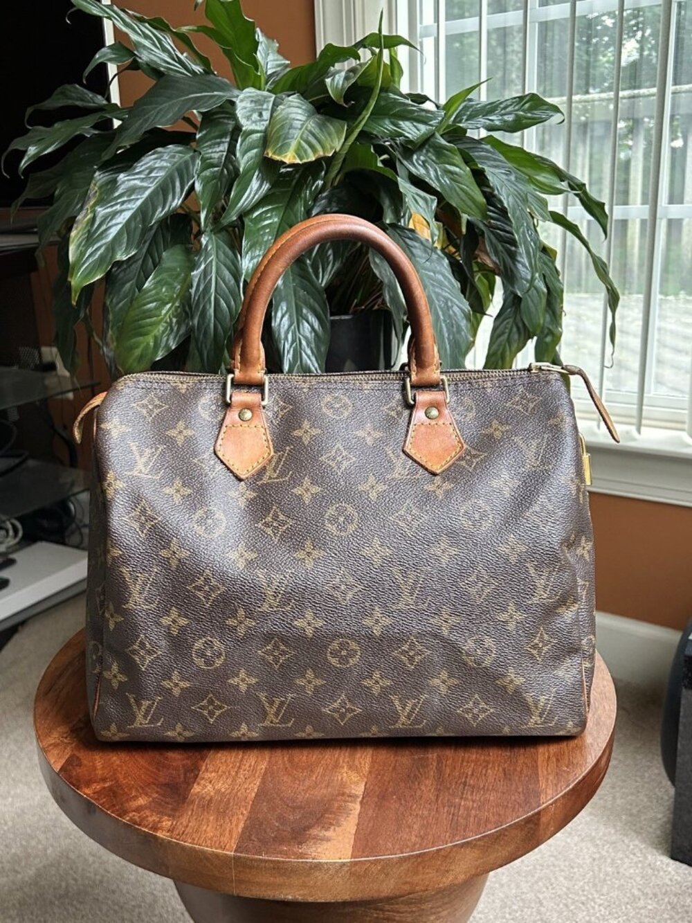 LOUIS VUITTON Monogram Speedy 30